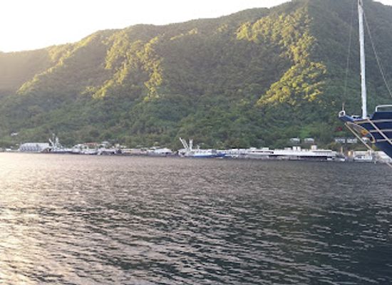 american-samoa/aunu-u/landmark/jean-p-haydon-museum