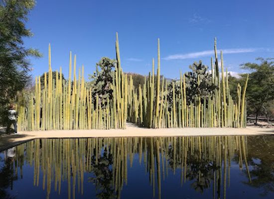 mexico/oaxaca/ruta-independencia/landmark/jardin-etnobotanico-de-oaxaca