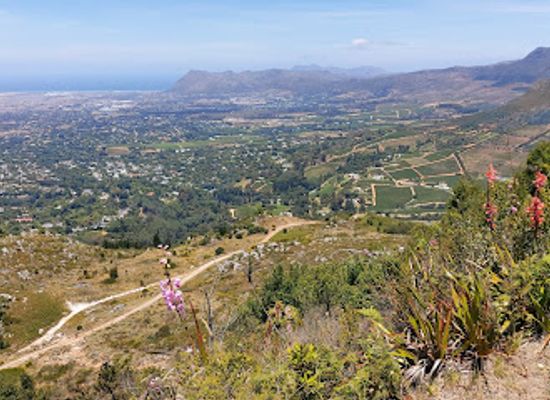south-africa/cape-town/landmark/constantia-nek
