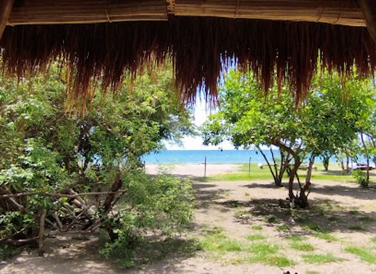 philippines/camiguin/landmark/daos-plant-based-kitchen