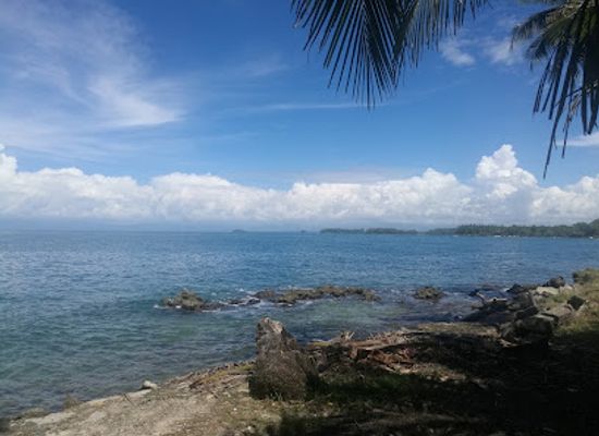 papua-new-guinea/madang/landmark/madang-visitors-cultural-bureau