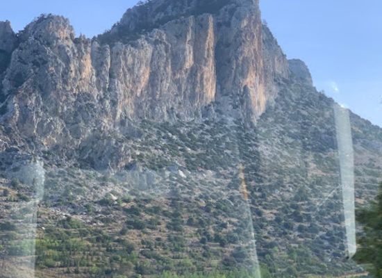 cyprus/kyrenia-district/landmark/kyrenia-animal-rescue-centre