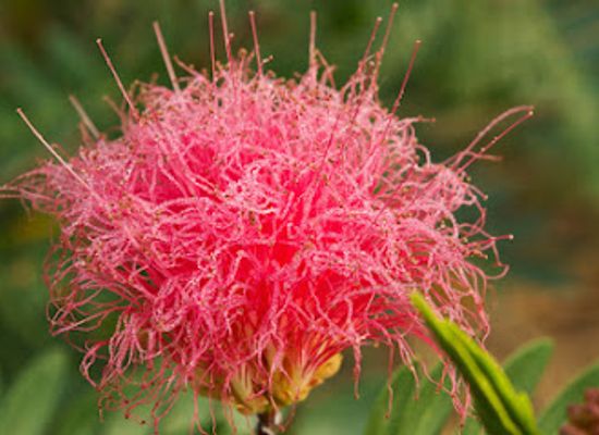 laos/luang-prabang-province/landmark/pha-tad-ke-botanical-garden