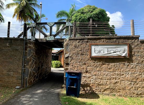 puerto-rico/bayamon/landmark/bici-lineal-coffee-shop-co