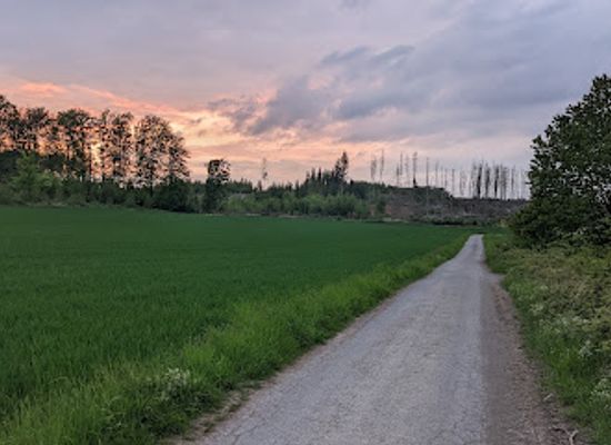 germany/sauerland/landmark/luerwald