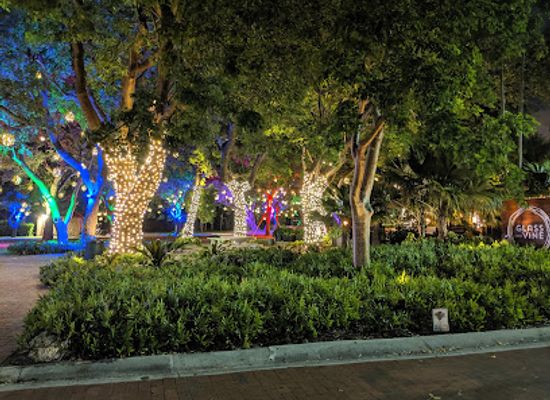 florida/miami/coconut-grove/landmark/peacock-park