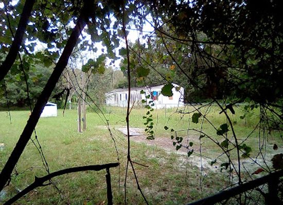 florida/ocala-national-forest/landmark/ocala-wildlife-management-area