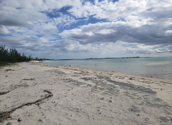 the-bahamas/grand-bahama/landmark/fortune-beach