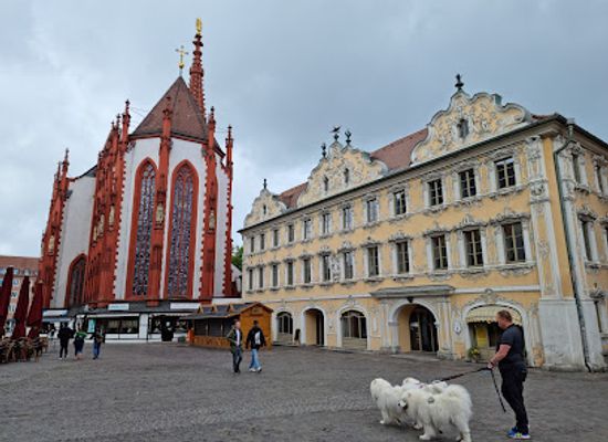 germany/wurzburg/wurzburger-dom/landmark/falkenhaus
