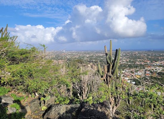 aruba/oranjestad/landmark/hooiberg-hiking-trail