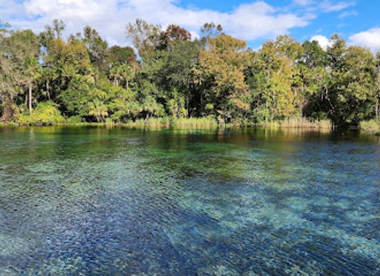 florida/juniper-springs-recreation-area/landmark/alexander-springs-recreation-area
