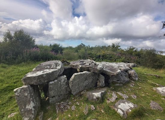 ireland/county-leitrim/landmark/the-burren-forest