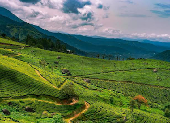 india/munnar/landmark/munnar-views