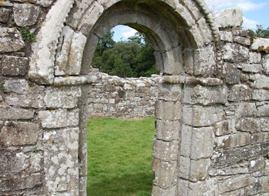united-kingdom/fermanagh/attraction/white-island-stone-figures-state-care-monument-2