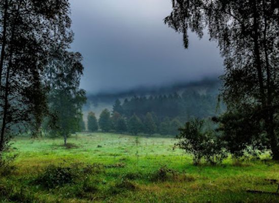 netherlands/veluwe/landmark/landgoed-de-paltz-utrechts-landschap