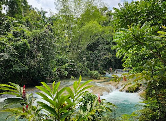 jamaica/great-morass/landmark/blue-hole-mineral-spring-jamaica