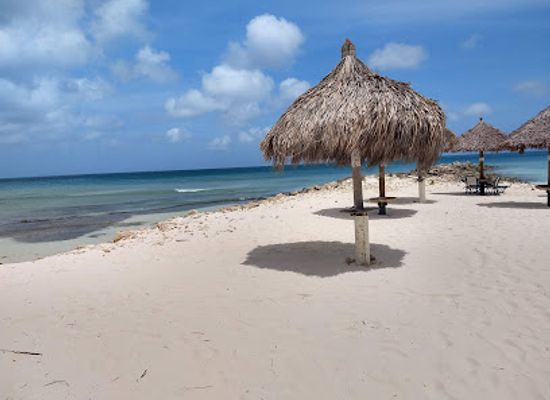 aruba/eagle-beach/landmark/bubali-bird-sanctuary