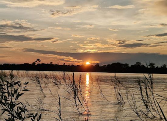 colombia/leticia/landmark/expeditions-george-of-the-jungle