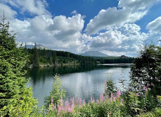 slovakia/poprad/landmark/tricklandia