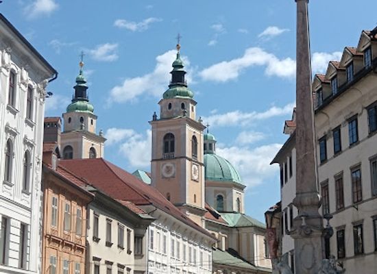 slovenia/posavje/landmark/saint-nicholas-s-cathedral