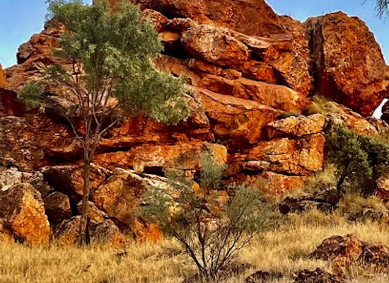 australia/alice-springs/landmark/alice-springs-visitor-information-centre
