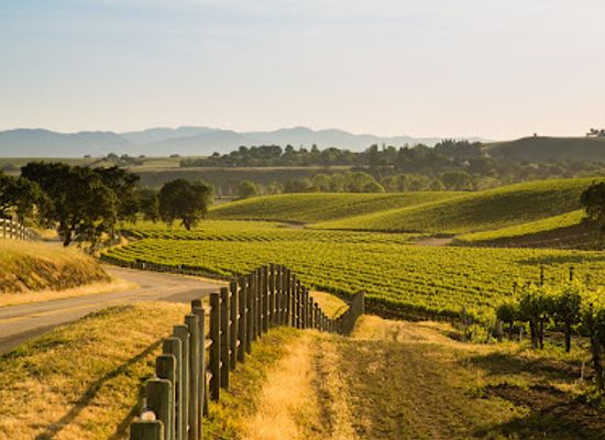california/turlock/landmark/turlock-residential