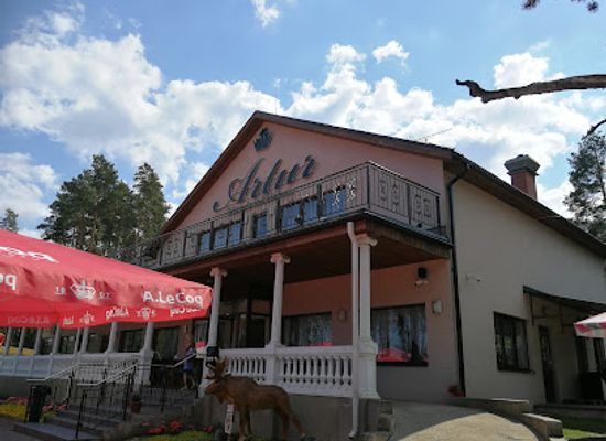 estonia/laane-viru-county/landmark/artur-romeda-saslokibaar