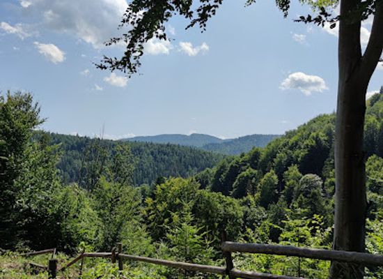 ukraine/yaremche/landmark/mini-zoo