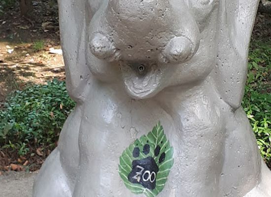 hungary/miskolc/landmark/miskolc-zoo