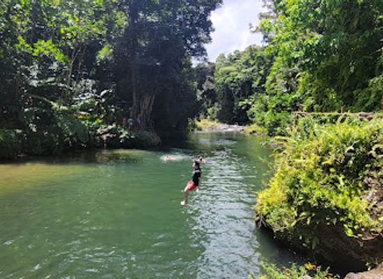 puerto-rico/yunque-national-forest/landmark/natural-wonders-puerto-rico