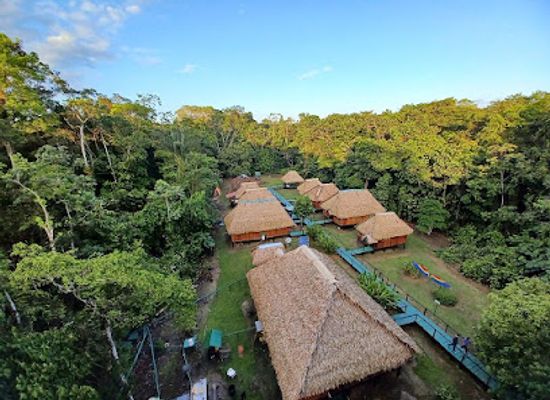 ecuador/cuyabeno-wildlife-reserve/landmark/green-forest-ecolodge-cuyabeno