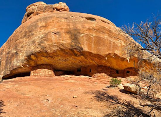 utah/colorado-plateau/landmark/butler-wash-ruins