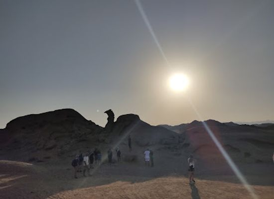 egypt/marsa-alam/landmark/sand-camel