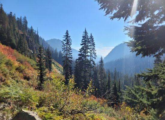 washington/mount-baker-snoqualmie-national-forest/landmark/snow-lake-trailhead