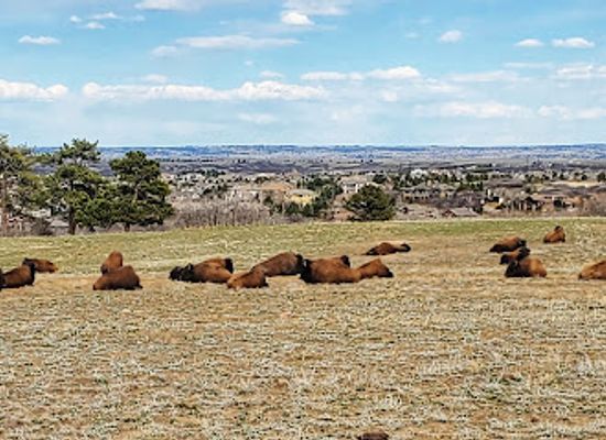 colorado/high-plains/landmark/daniels-park