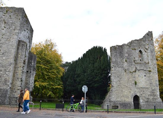 ireland/county-kildare/landmark/maynooth-castle