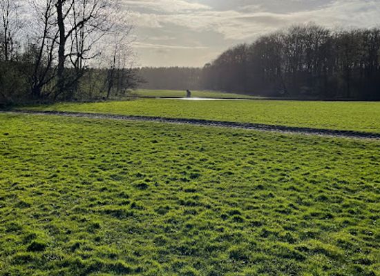netherlands/betuwe/landmark/panorama