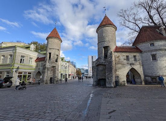 estonia/soomaa-national-park/landmark/viru-gate