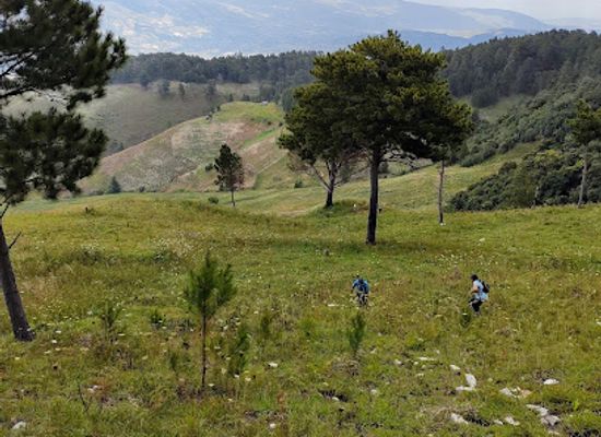 dominican-republic/sierra-de-neiba/landmark/sierra-de-neiba-national-park