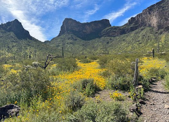 arizona/sonoran-desert/landmark/picacho-peak-state-park