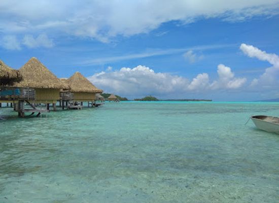 french-polynesia/bora-bora/landmark/avis-bora-bora-rent-a-car-vaitape