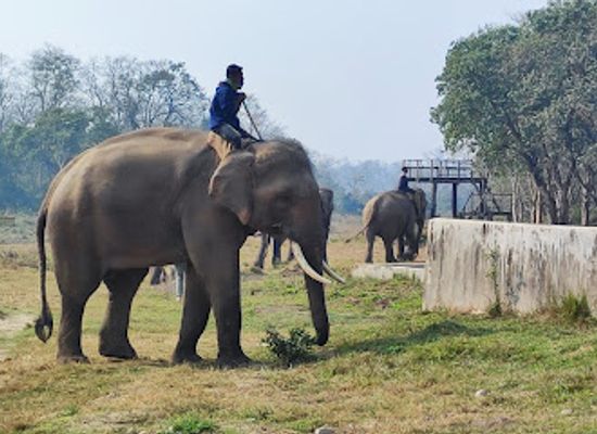 nepal/chitwan-national-park/landmark/sauraha-chowk
