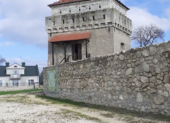 ukraine/ternopil-region/landmark/skalat-castle