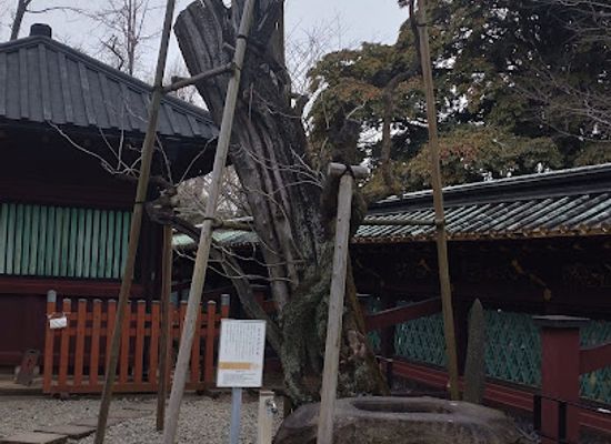 japan/tokyo/landmark/kisasagenoki