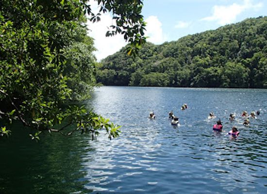 palau/eil-malk/landmark/jellyfish-lake