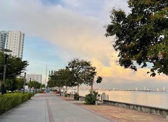 malaysia/george-town/landmark/karpal-singh-dr