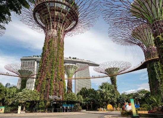 singapore/central-region/landmark/supertree-grove