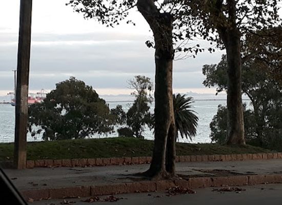 uruguay/montevideo-coast/landmark/constitution-plaza