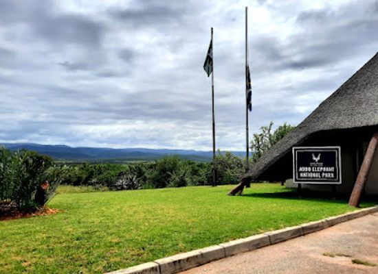 south-africa/eastern-cape/landmark/addo-elephant-national-park
