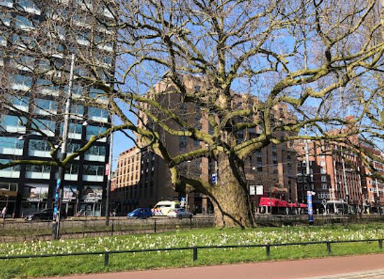 netherlands/amsterdam/landmark/maagd-van-amsterdam